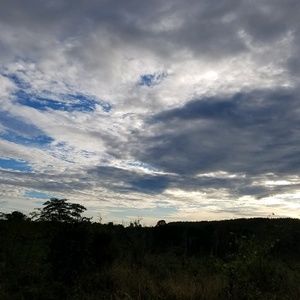 Meet your Posher, Johnathin